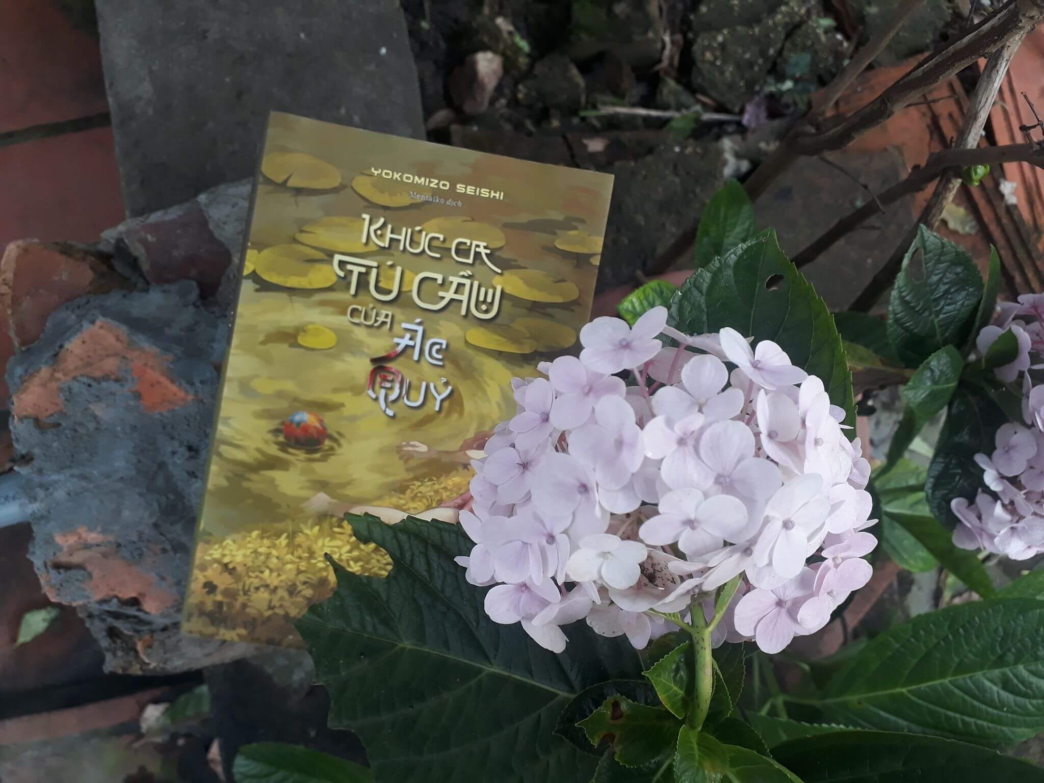 khúc ca tú cầu của ác quỷ review