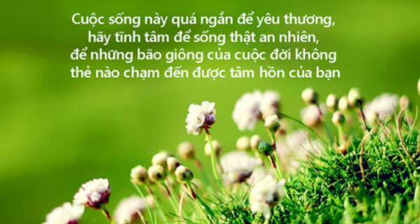 Cuộc sống này quá ngắn để yêu thương, hãy tĩnh tâm để sống thật an nhiên, để những bão giông của cuộc đời không thể nào chạm đến được tâm hồn của bạn.